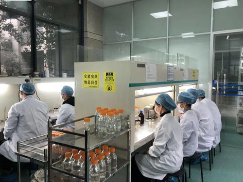 生物選考沖刺提分秘籍 高中生物實驗訓練營寒假開啟，助力未來生物基材料技術研發